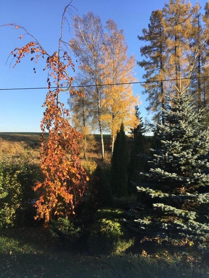 Penzion Kunvald Konciny Esterno foto